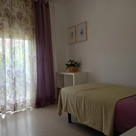 Apartment Alojamiento Santo Domingo *